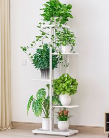 Kukkahylly kukkateline Ficus 43x22x98cm