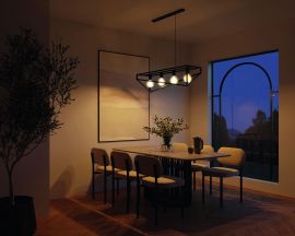 Kattovalaisin Franco musta