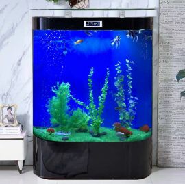 Akvaario Mishell 80x50x138cm
