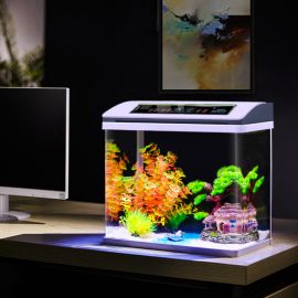 Akvaario Roysten, LED 36x23x38cm / 65x30x50cm valkoinen