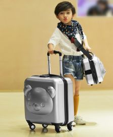 Luggage Yogi-silver